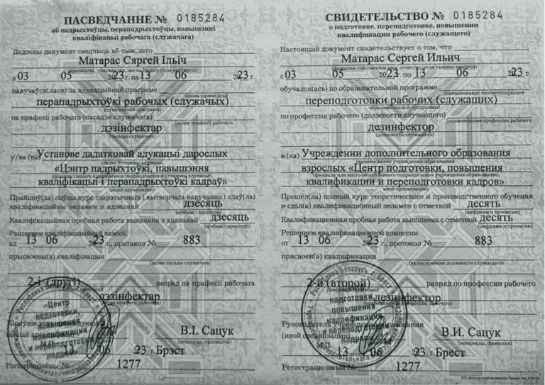 sertificate-02